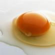 Consumul zilnic de ouă contribuie la scăderea greutăţii corporale