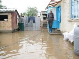 Şapte gospodării au fost inundate la Boroaia