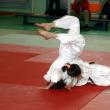 Sezon de excepţie pentru judoul humorean