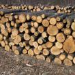 Subvenţii pentru achiziţionarea lemnului necesar încălzirii locuinţelor vor fi date pentru 34.575 de familii din judeţ