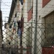 În Penitenciarul Botoşani sunt închişi peste 300 de suceveni