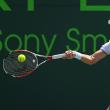 Jucătoarea de tenis Simona Halep a câştigat, ieri, turneul de la Sofia, dotat cu premii în valoare totală de 750.000 de dolari