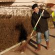 Primarul Ion Lungu şi patronul firmei de salubrizare Diasil, Anton Curelaru, au participat la campania “Toţi pentru curăţenia oraşului”