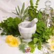 Dulceață din plante de leac (rețetă de Sânziene)