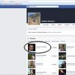 Secretarul de stat Alin Tucmeanu este în lista de prieteni pe Facebook a directorului Andrei Ianovici