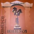 “Irimescu, demiurgul de tăceri”, prima traducere în limba engleză a unei cărţi despre opera maestrului Ion Irimescu
