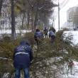 Pe bulevardul George Enescu mai mulți copaci de mici dimensiuni au căzut peste mașini