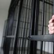 Tânărul de 21 de ani a primit mandat pentru 30 de zile și a fost încarcerat în arestul IPJ Suceava