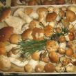 300 de kilograme de ciuperci confiscate în urma unei acţiuni a poliţiei