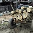 „Transportul lemnelor de foc”