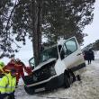 Impactul violent cu copacul de la marginea drumului