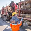 Sistemul de urmărire prin GPS a materialului lemnos, Timflow, permite Holzindustrie Schweighofer să monitorizeze traseul fiecărui camion ce livrează buştean de la punctul de încărcare până la poarta fabricii