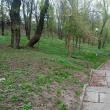 Parcul Şipote ar urma să treacă în administrarea Consiliului Local Suceava