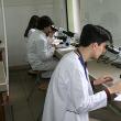 Șapte elevi din județ s-au calificat la Olimpiada Națională de Biologie de la Piatra Neamț