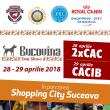 Unde fugim de-acasă...