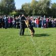 Folosirea câinelui de urmă în depistarea infractorului, un exerciţiu mult îndrăgit de copii, la ediţia din toamna anului trecut