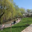 Zona de agrement a Sucevei