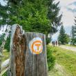Traseul turistic Via Transilvanica va avea 200 de kilometri în judeţul Suceava