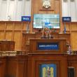 Deputatul PSD de Suceava Maricela Cobuz