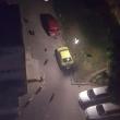 Reducere semnificativă a numărului câinilor vagabonzi de pe străzile Sucevei