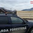 Control demarat de Garda Forestieră Suceava la firma fiului unui consilier al instituției, amendată pentru transport ilegal de cherestea