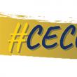Profesioniștii contabili suceveni vor sărbători pe 13 iulie împlinirea a 100 de ani de la înființarea CECCAR