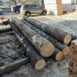 Control al Gărzii Forestiere Suceava, împreună cu reprezentanții I.P.J. Suceava
