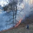 O lizieră de pădure din apropierea râului Siret a luat foc sâmbătă după-amiază