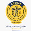 CECCAR susține că printr-un proiect de lege aflat în Parlament se încearcă atacarea autonomiei profesiei de contabil
