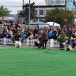 Bucovina Dog Show a revenit în parcarea Shopping City Suceava, după doi ani de pandemie, cu competiții chinologice organizate pe parcursul a două zile – 30 aprilie și 1 mai 3