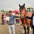 Locul I la tracțiune simplă - calul Cezar, cu proprietarul Sebi Vereș şi cu viceprimarul Gavriluță Hintar     Foto Florin Lungu