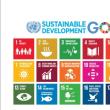 Elevi de la Școala „Bogdan Vodă” din Rădăuți au participat la un summit internațional în limba engleză