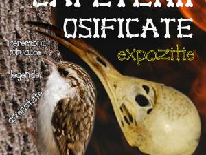 Expoziția „Căpetenii osificate”, la Muzeul de Științele Naturii