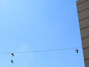 Papuci pe cablu în zona Albina. Foto  smartpress