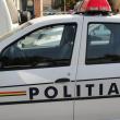Autotren încărcat cu lemne, oprit pe un drum cu tonaj limitat la 10 tone