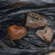 Bucățile de chihlimbar găsite în bagajul ucraineanului