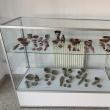 Expoziția „Artă şi Artefacte”, ediția a V-a, organizată de Muzeul Național al Bucovinei