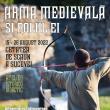 Activitatea cultural-educativă „Arma medievală și rolul ei. Inițiere în tirul cu arcul”