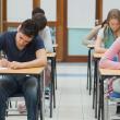 Calendarul examenului de bacalaureat 2023