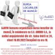 Bursă de locuri de muncă, cu 35 de joburi, la Ambro Suceava