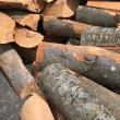 Direcția Silvică Suceava are în stoc 32.000 mc lemn de foc rășinoase, disponibil pentru valorificarea către populație și unități bugetare. Foto ziarulatitudineadeneamt.ro