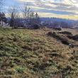 Ruinele Curții Domnești, din centrul municipiului Suceava