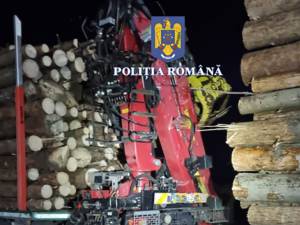 Camion cu lemne
