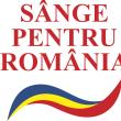 Soția suceveanului mort în accidentul din Bulgaria a scăpat cu viață, dar are picioarele amputate și are nevoie de ajutor