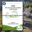 Reforma în turismul din România începe la Suceava cu aprobarea primului OMD, „Orașul Cetății de Scaun”