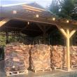 Aproape 5300 de mc de lemn de foc disponibil la două dintre ocoalele Direcției Silvice Suceava