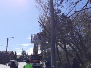 Intervenție de îndepărtare a pericolului de prăbușire a doi arbori pe Calea Unirii