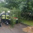 Un copac doborât de furtună a căzut pe trei mașini, în Suceava