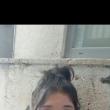 Fată de 13 ani, căutată de poliţie după ce s-a certat cu mama ei şi nu a mai venit acasă
