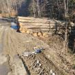 Amenzi mari pentru lemne transportate și depozitate neglijent în pădure, prin albia cursurilor de apă